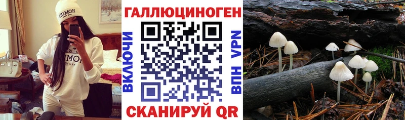 Псилоцибиновые грибы MAGIC MUSHROOMS  Сунжа 
